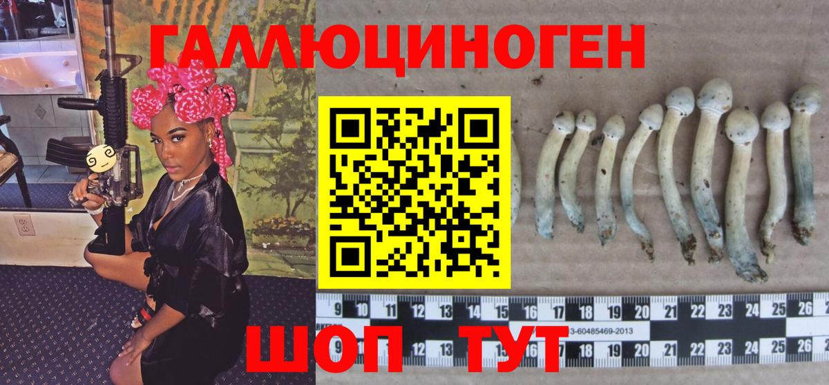 Галлюциногенные грибы прущие грибы  Вход с VPN  Чехов  где купить наркотик  Псилоцибиновые грибы GOLDEN TEACHER 