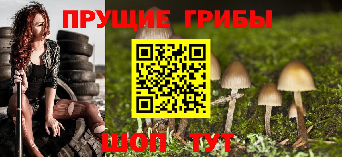 Псилоцибиновые грибы прущие грибы Чехов